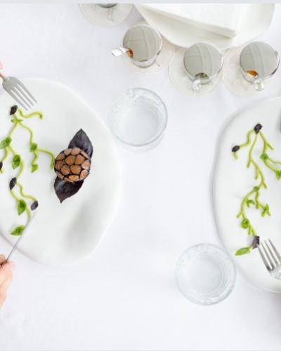 WhatsApp Image 2025-11-19 at 08.15.46